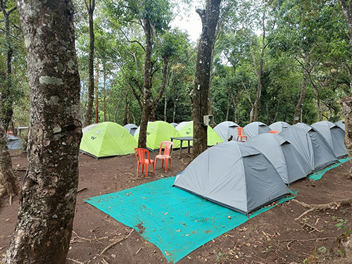 Decathlon tent camping stay in Kolukkumalai