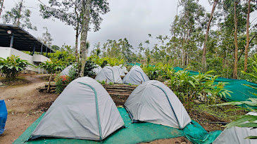 Tent stay with sunrise in Kolukkumalai